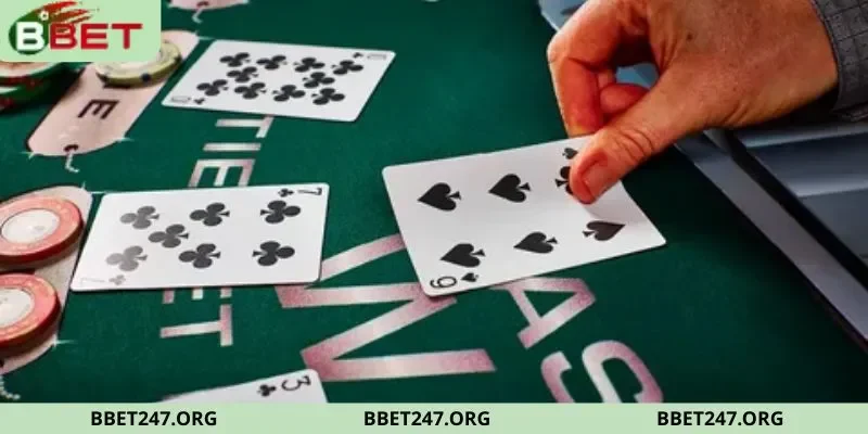 Tìm hiểu về các dòng poker chuyên nghiệp được ưa chuộng nhất